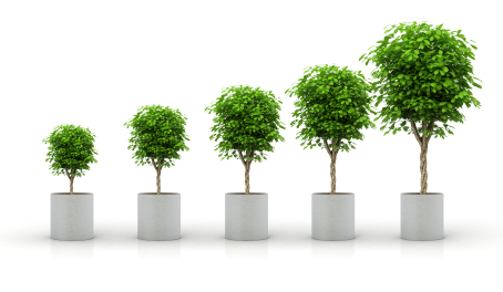 5 Tips for Scaling and Growing Your Online Directory