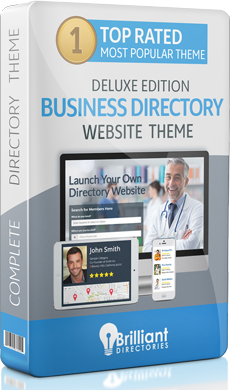 Business Directory Website Theme