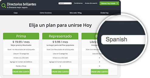 Google Website Translator Spanish