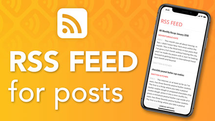 RSS Feed for Posts - Website Directory Theme