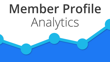 Member Profile Analytics - Website Directory Theme