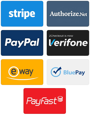 website payment gateway